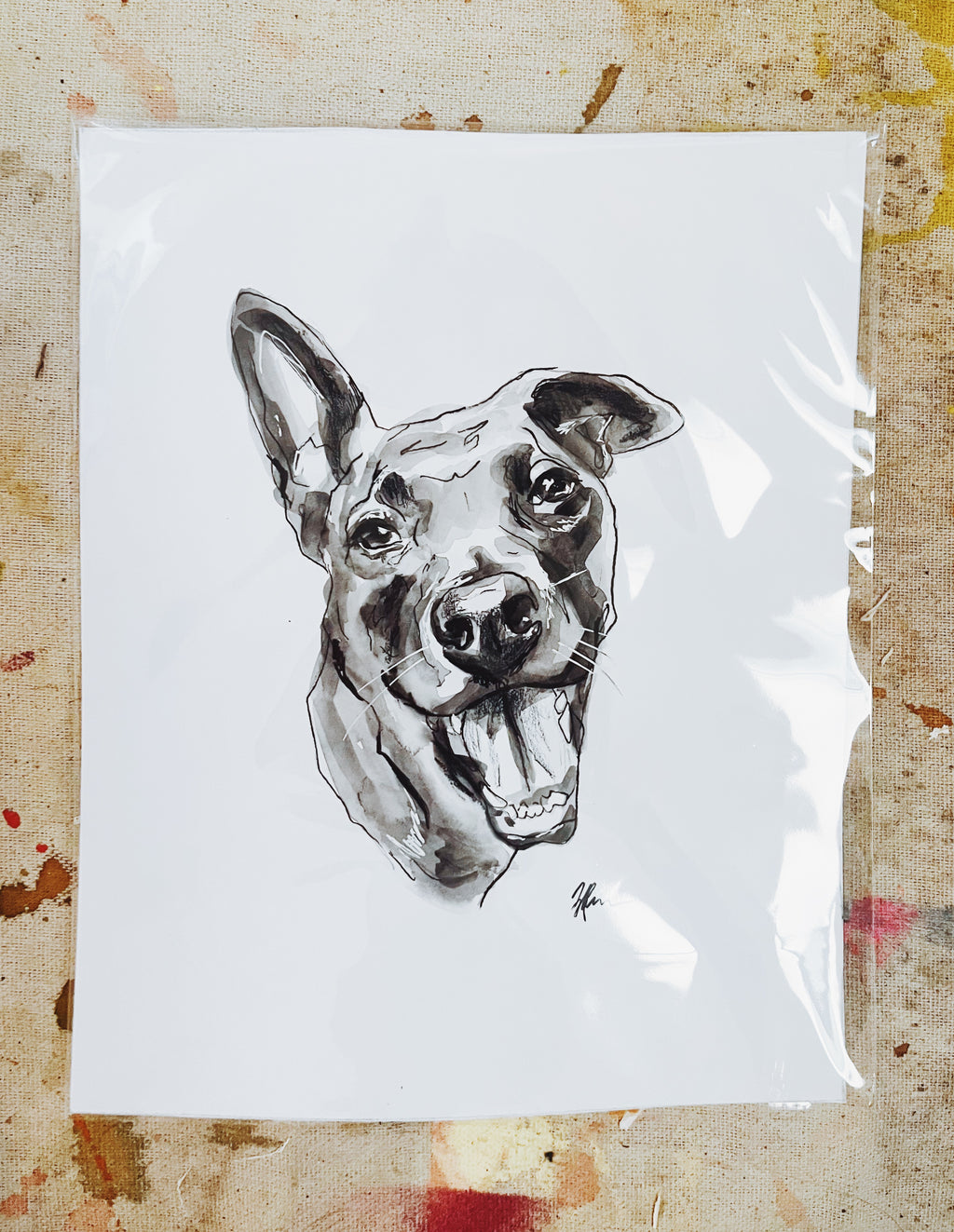 Pet Portrait Commission