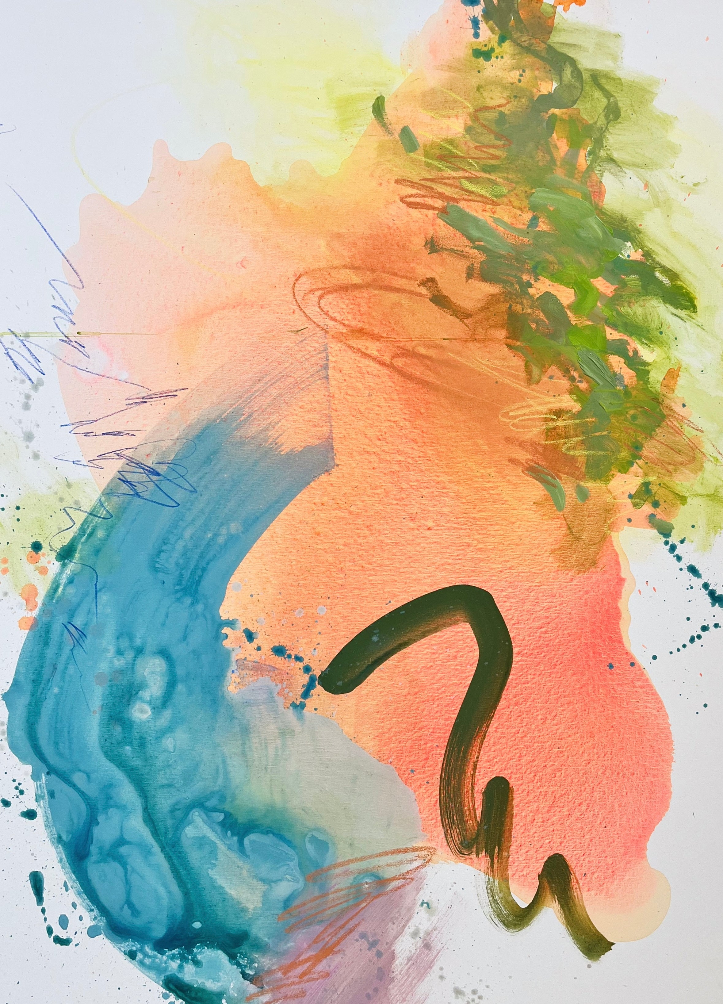 Hidden Biodiversity Print