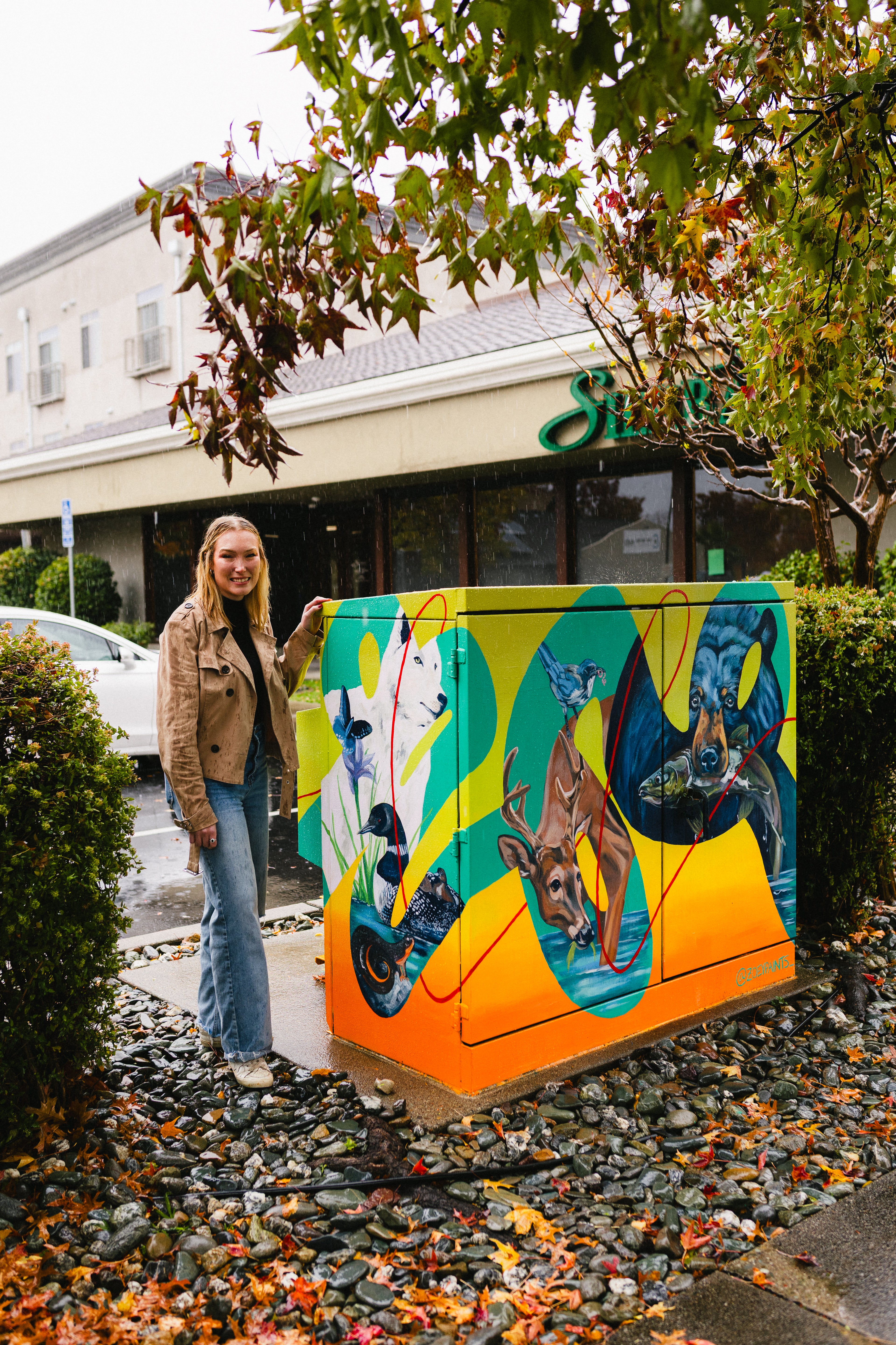 Custom Mural